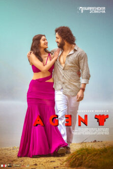 Agent | iBOMMA